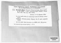 Image Associated With the Occurence
